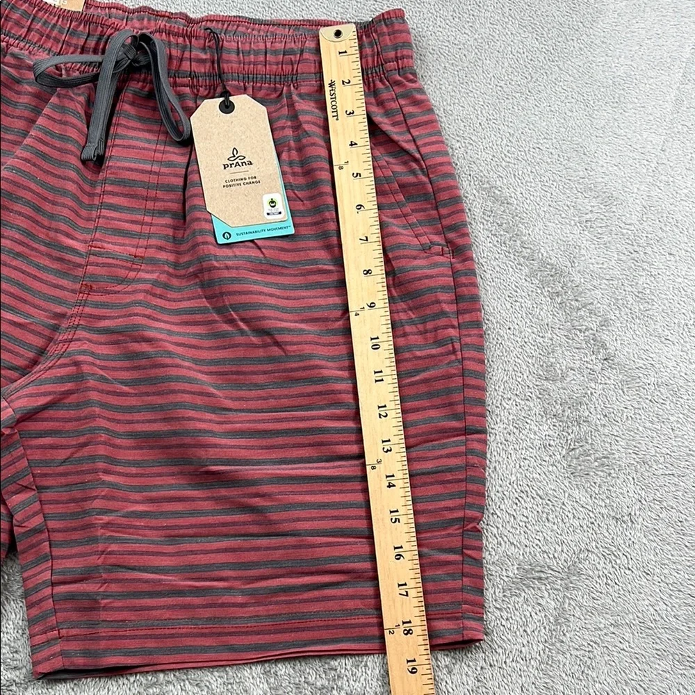 NEW Prana L Metric E-Waist Short Rust Stripe Men's Striped Red Shorts‎